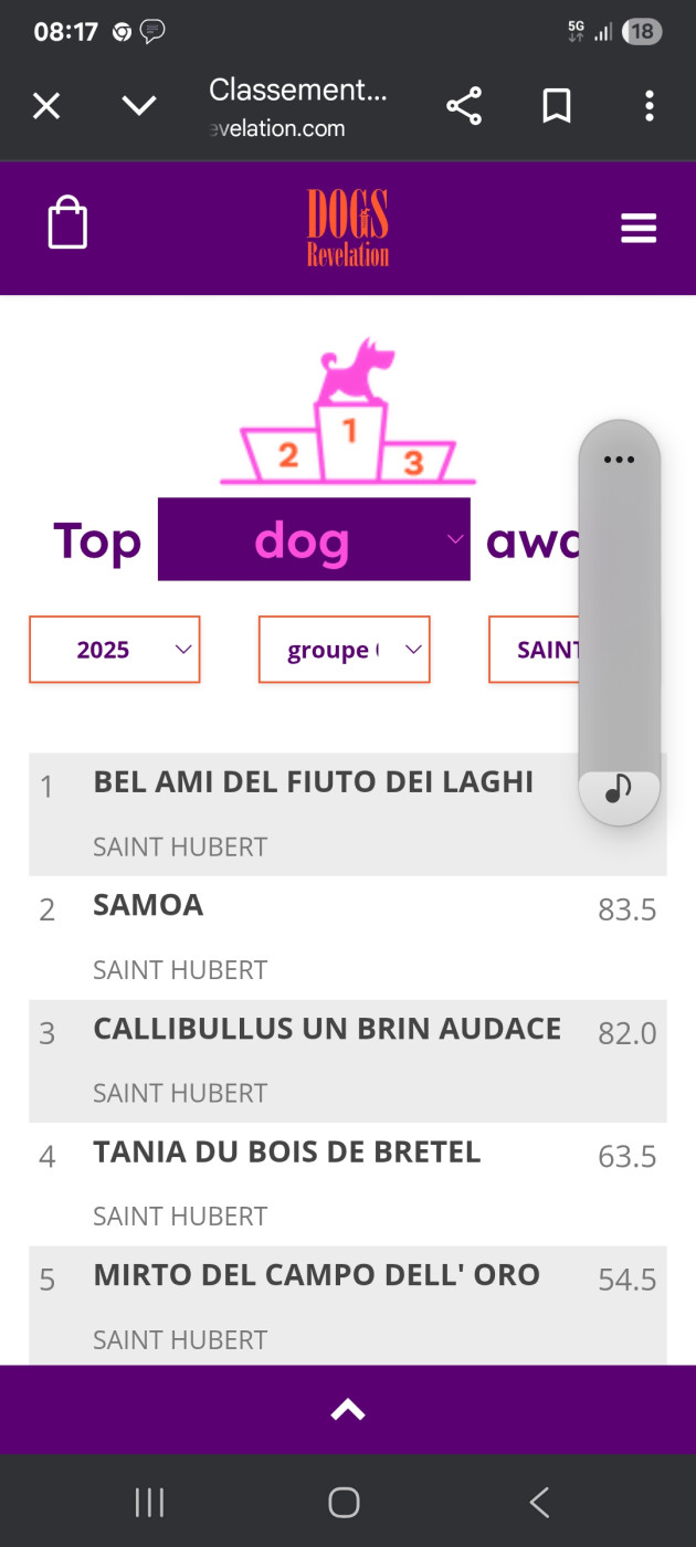 classement 2025 pour mes chiens sur dog revelations