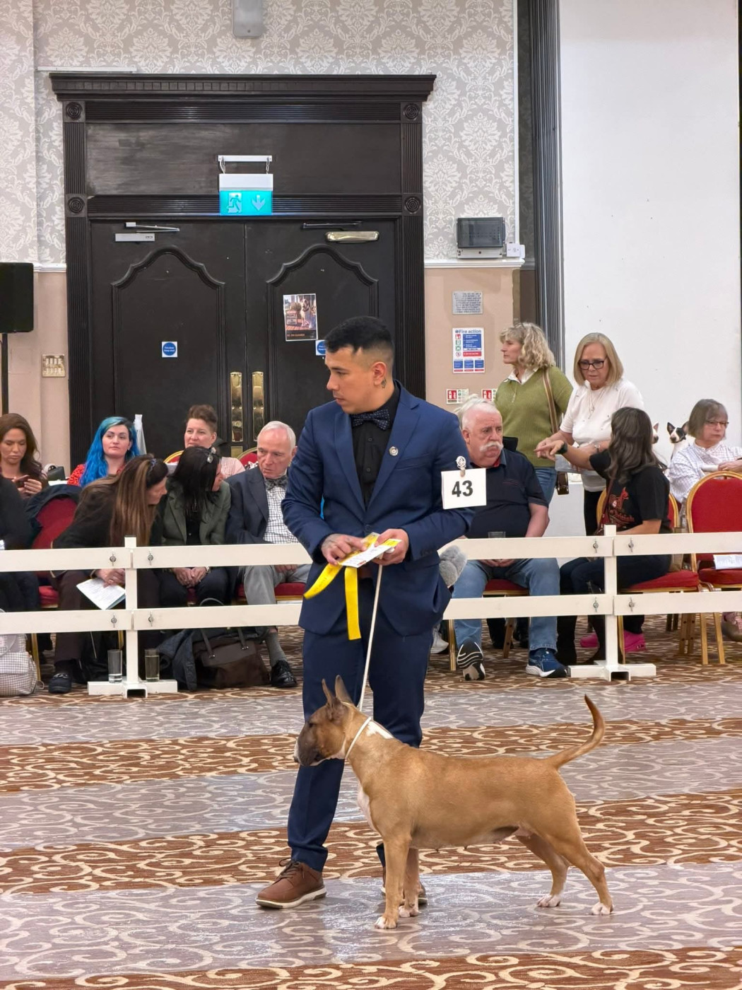 Callibullus Valpoliccella