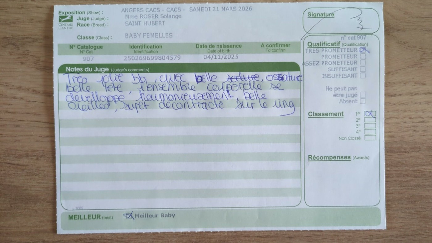 1ere sortie d'une des filles de mirto a Angers