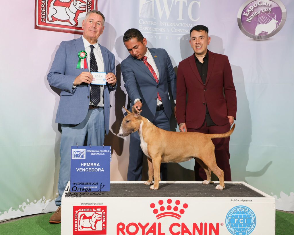 encore vainqueur au Mexique