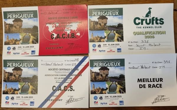 Callibullus - expo de PERIGUEUX