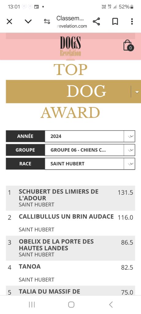 resultats de l'année sur dog revelation