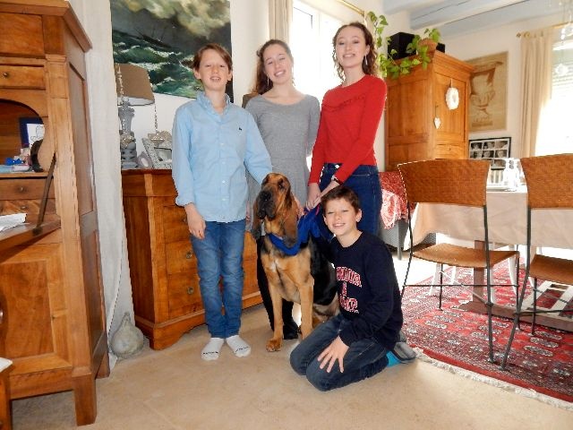 1ere portée de Havane ,le 1er anniversaire des chiots 